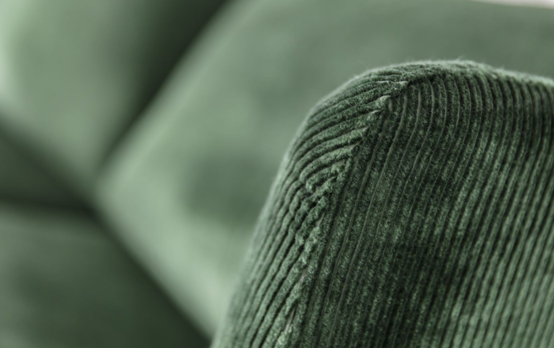 KING Corduroy Etroit Bouteille