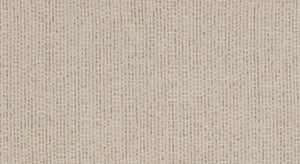 DOLLY Silencio Ivoire