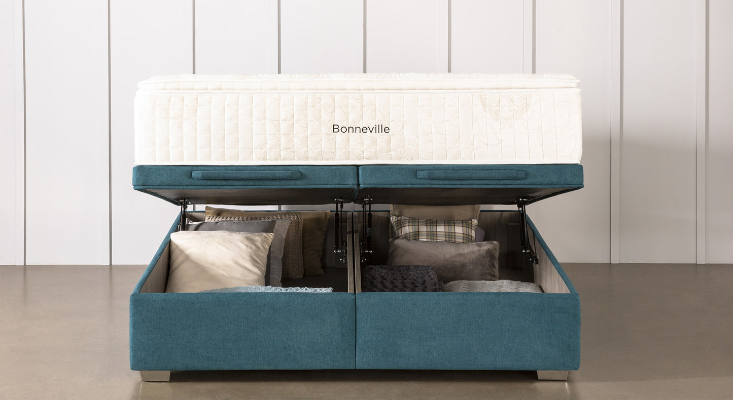 Pack CABOURG Bronx Pétrol