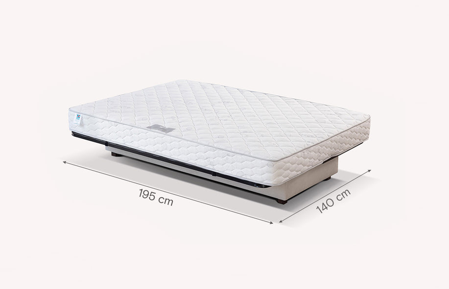 BROOKLYN Max Gris-1